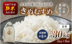 ＜定期便 全6回＞令和7年産 真庭市産きぬむすめ 白米 5kg×6回 / お米 国産 岡山県 米 人気 ブランド 2025年産 【tkns-tkb014-cho】
