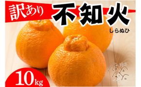先行予約 訳あり 不知火 10kg  清家ばんかんビレッジ みかん 蜜柑 デコポン 清見 きよみ ポンカン 柑橘 果物 フルーツ 柑橘 糖度 ビタミン 健康 美容 愛媛 愛南 発送:2024年2月10日～4月10日(なくなり次第終了)