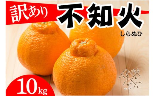 先行予約 訳あり 不知火 10kg  清家ばんかんビレッジ みかん 蜜柑 デコポン 清見 きよみ ポンカン 柑橘 果物 フルーツ 柑橘 糖度 ビタミン 健康 美容 愛媛 愛南 発送:2024年2月10日～4月10日(なくなり次第終了)