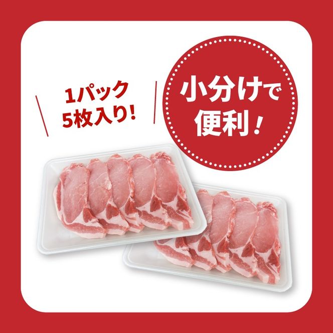 宮崎県産豚肉ロースカツ用30枚セット　K65_0004