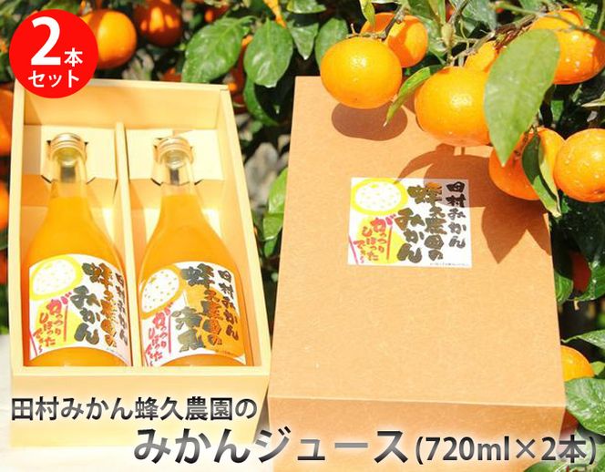 田村みかん蜂久農園のみかんがっつりしぼったでぇ　みかんジュース(720ml×2本)
