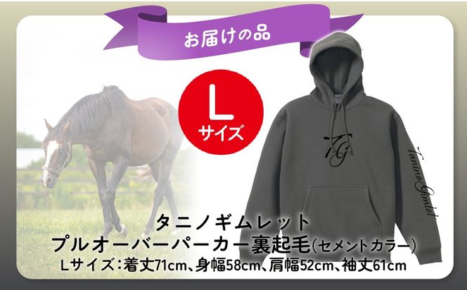 【破壊神タニノギムレット】(セメントカラー）プルオーバーパーカー裏起毛　選べる４サイズ【Ｌ】 BRTV105-3