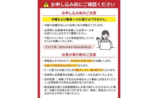 【2025年先行予約】山梨県産 シャインマスカット 約1kg(2房) シャインマスカット ぶどう シャイン 山梨県産 フルーツ 果物 先行予約 産地直送 数量限定 山梨 富士吉田