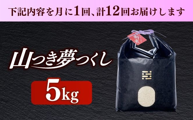 【全12回定期便】農薬 を使わずに育てた 山つき   夢つくし 5kg【築上町】 / itoshimacco / 株式会社やました[ABEX016]