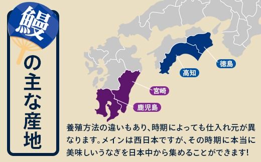 1006.【メール便・常温タイプ】国産うなぎ蒲焼きカット100ｇ（タレ付き）※山椒は付いておりません。(A1006-1)