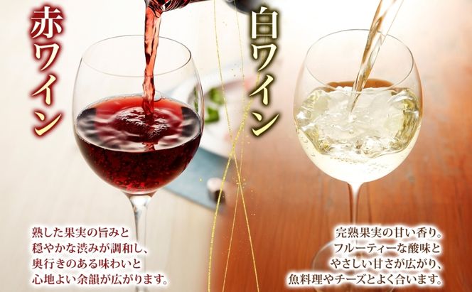 スチューベンワイン 赤・白 720ml 各1本 セット 赤ワイン 白ワイン 紅白セット スチューベン 果実酒 ぶどう酒 飲み比べ 詰め合わせ 青森県産 日本ワイン 地酒 晩酌 ギフト 贈答用 フルーツワイン 国産 完熟 家飲み ギフト パーティー 記念日 青森県 鶴田町