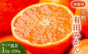 家庭用 完熟 有田みかん1kg+250g（傷み補償分）サイズ混合
