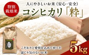 ＜令和6年度 特別栽培米「粋」コシヒカリ 5kg＞ ※入金確認後、翌月末迄に順次出荷します。【c854_kh_x5】 米 こしひかり