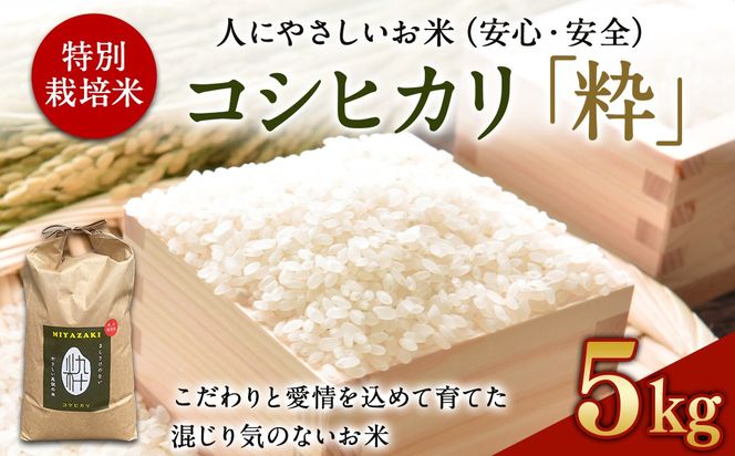 ＜令和6年度 特別栽培米「粋」コシヒカリ 5kg＞ ※入金確認後、翌月末迄に順次出荷します。【c854_kh_x5】 米 こしひかり