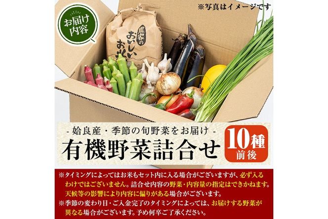 a967 姶良産 有機野菜の詰合せセット(10種前後)【今村農園】姶良市 国産 鹿児島県 野菜 やさい 旬 有機栽培 詰め合わせ 春 夏 秋 冬 季節