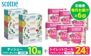 【定期便6回】【毎月お届け】【スコッティ】 組み合わせ ティシュー フラワーボックス 250組 10箱 計60箱 トイレットロール ダブル フラワーパック 3倍長持ち 24ロール 計144ロール ティッシュ トイレットペーパー 日用品 ストック 防災備蓄 ストック 備蓄 新生活 防災 消耗品 生活用品 日用消耗品 箱ティッシュ