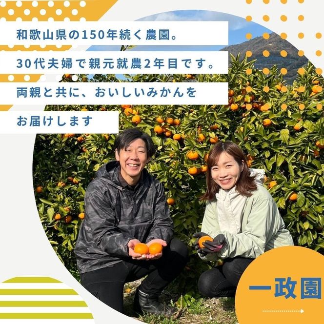 【ふるさと納税】【先行予約】有田みかん 早生 温州みかん 4.6kg（箱込み5kg） 家庭用 S～２Lサイズ 混合 柑橘 フルーツ みかん 産地直送 お取り寄せ 送料無料 温州ミカン 	FA07