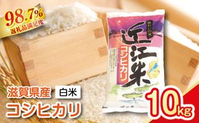 【新米】令和8年産　近江米　こしひかり【10kg（5kg×2袋）】【T020W4】（滋賀県　近江八幡市）