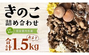 きのこ の 詰め合わせ Mサイズ ( 約1.5kg ) （茨城県共通返礼品：城里町） キノコ セット 野菜 低カロリー ダイエット デトックス バラエティ セット 新鮮 [DY002us]