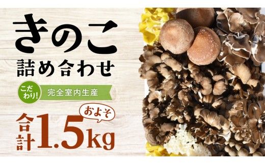 きのこ の 詰め合わせ Mサイズ ( 約1.5kg ) （茨城県共通返礼品：城里町） キノコ セット 野菜 低カロリー ダイエット デトックス バラエティ セット 新鮮 [DY002us]