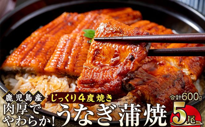 うなぎ 蒲焼 120g×5尾【鹿児島産】地下水で育てた絶品鰻 464686_AQ133
