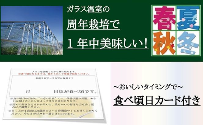 数量限定！『クラウンメロン ”富士等級” 2玉』 ギフト箱入 人気 厳選 ギフト 贈り物 デザート グルメ 果物 袋井市 果物類 メロン青肉 フルーツ 