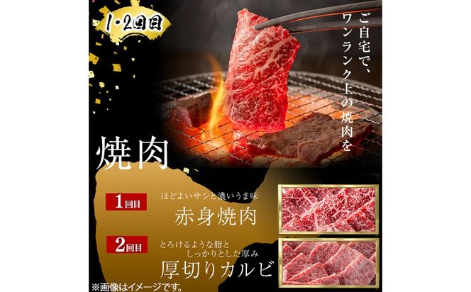 【定期便全3回】＜A4・A5等級＞黒毛和牛堪能〈お試し〉定期便（5～6人分）総重量1.8kg t0058-003