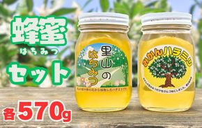 ありだみかん蜂蜜・ありだ里山の蜂蜜（各570ｇ） BC02