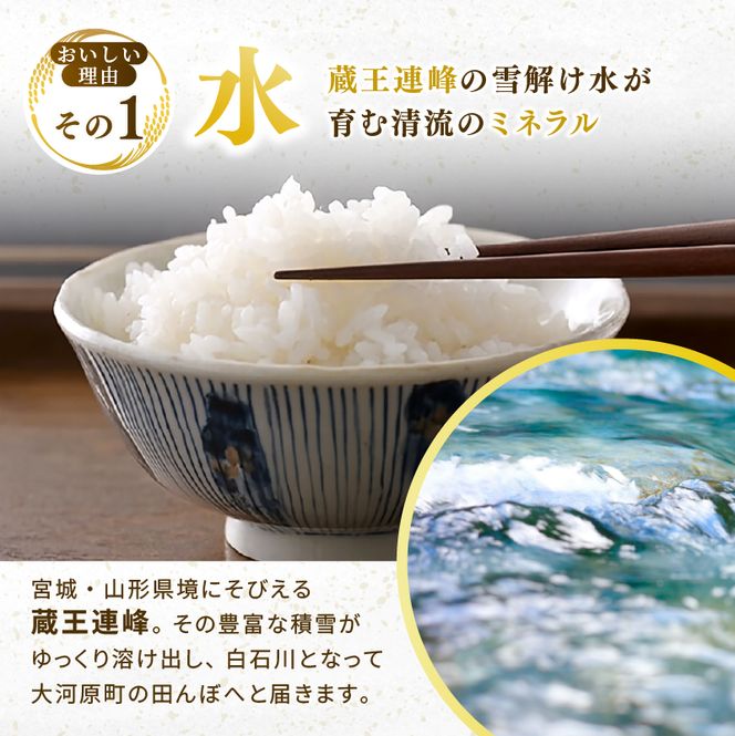 ひとめぼれ 定期便12回/5kg×1袋 令和8年産 新米 先行予約 宮城県産 米 精米 白米