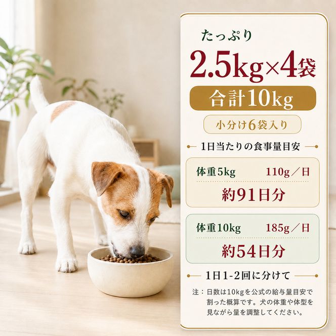 ビューティープロ ドッグ 成犬用 1歳から 2.5kg ｘ4(ケース単位) ドッグフード
