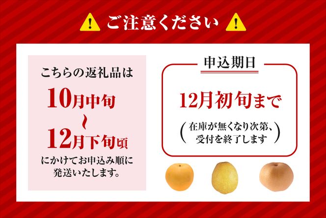【2026年産 先行予約】【晩生梨 品種 （新興梨 王秋梨 愛宕梨のいずれか）5kg（7～13玉）】【令和8年10月中旬以降発送予定】 晩生品種 新興・王秋・愛宕 梨 なし ナシ 和梨 フルーツ 大人気 人気 甘い みずみずしい 果実 果物 新鮮 旬の果物 おすすめ ランキング 国産 香住 贈り物 贈答 ギフト 秋 冬 兵庫県 香美町 香住 JAたじま 16000円 12-24