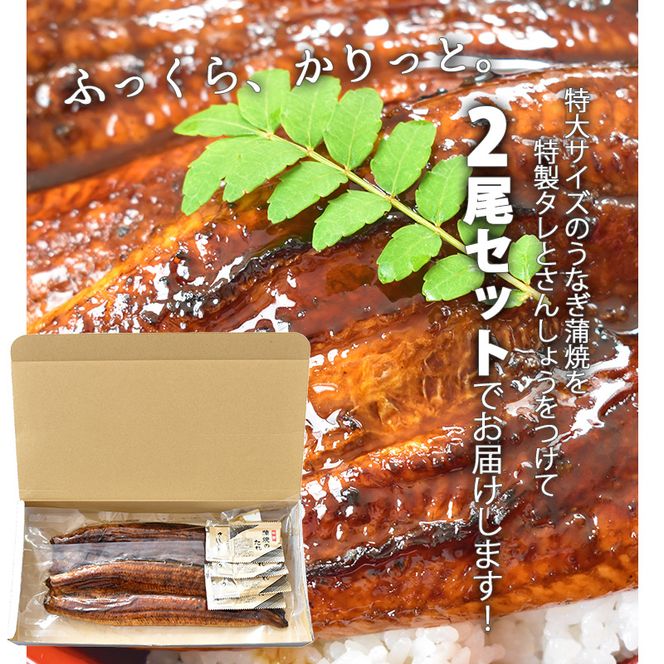 うなぎ蒲焼き 4尾入 (合計860～960g) 蒲焼たれ8袋（山椒付き）_AZ6025