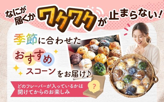 厳選おすすめ スコーン 12個セット 焼き菓子 焼菓子 お菓子 冷凍 個包装 沖縄市 / ZEBRA.Bagel[BCAE003]