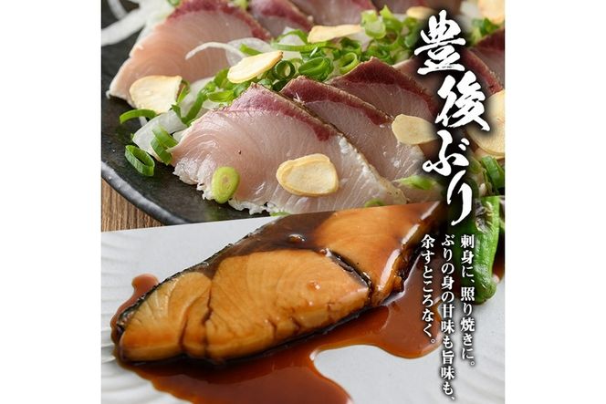 豊後ぶりフィーレ (計約1.1kg) 鰤 真空パック 刺身 さしみ 刺し身 照り焼き ブリしゃぶ しゃぶしゃぶ 大分県 佐伯市【GD002】【東海シープロ (株)】