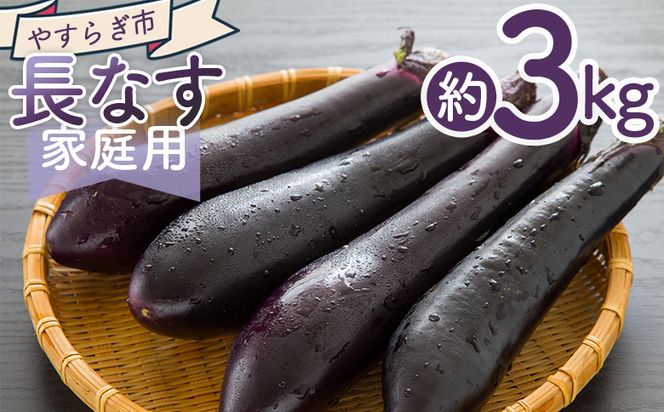 ymszy2025N10{ȍ~zȂ R ƒp yr-0072