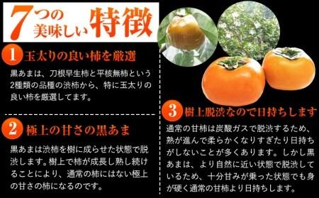 【先行予約】紀の川市産 黒あま 種なし 約2kg（6～9玉前後）4L～2Lサイズ《2025年10月中旬-11月末頃出荷》和歌山県 紀の川市 たねなし柿 くろあま 高級 産地直送 かき 柿 カキ 果物 フルーツ---wfn_wlocal40_10c11m_24_10000_2kg---