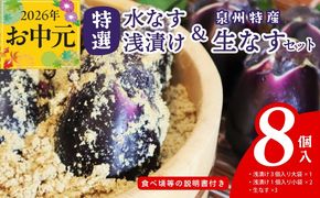 099H4578t 【お中元対応】 特選水なす浅漬け＆生なす 8個入り
