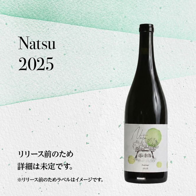 ふるさと納税限定セット 北海道仁木町 ロゼ・白2本セット【Domaine ICHI×TOMAPU FARM】 お酒 酒 果実酒 晩酌 葡萄 ぶどう ブドウ 料理 食事 お祝い 北海道 仁木町 飲み比べ