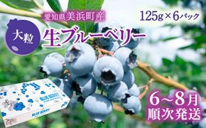 大粒ブルーベリー品種ミックス 125g×6パック 果物 くだもの フルーツ ヨーグルト ジャム 国産 愛知県産 ※2026年6月上旬～8月上旬頃に順次発送予定 ※北海道・沖縄・離島への配送不可