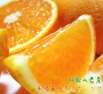 有田育ちの 完熟 清見 オレンジ（ご家庭用）約1.5kg［先行予約］［MS166］ 303446_XD90314