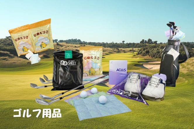 【定期便3回（3か月に1回）】シリカゲル乾燥剤 DQ SHEET（10枚入り） | 湿気とり 日用品 除湿 乾燥剤 コンパクト 湿気取り 湿気対策 脱臭 梅雨 夏 愛知県 春日井市