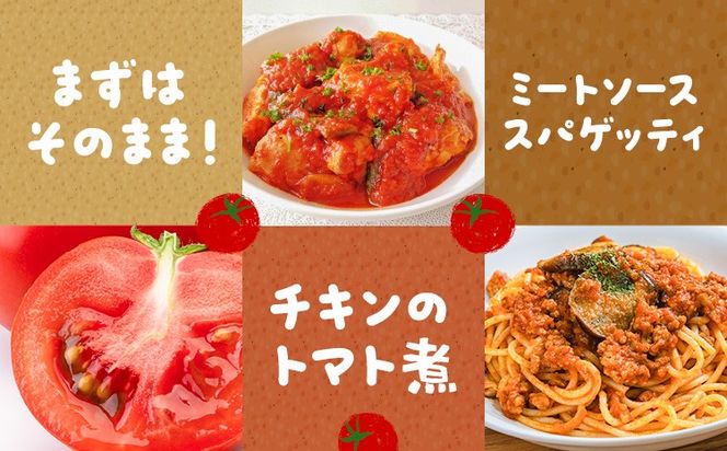 【大津アグリラボ】大玉トマト かれん 選べる内容量 約1kg 約2kg 株式会社中九州クボタ《10月上旬-6月下旬頃出荷》熊本県 大津町 トマト 大玉 野菜---大津アグリラボ】大玉トマト かれん 選べる内容量 約1kg 約2kg 株式会社中九州クボタ《10月上旬-6月下旬頃出荷》熊本県 大津町 トマト 大玉 野菜---oz_nkb_1_1kg---