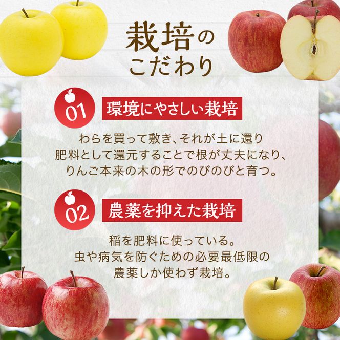 りんごジュース1000ml×3 ふじ3本セット 飲料類 果汁 飲料 果物 ギフト 