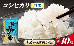 【12回定期便】コシヒカリ 白米 10kg×12か月 / 脇野コンバイン[AECP029]