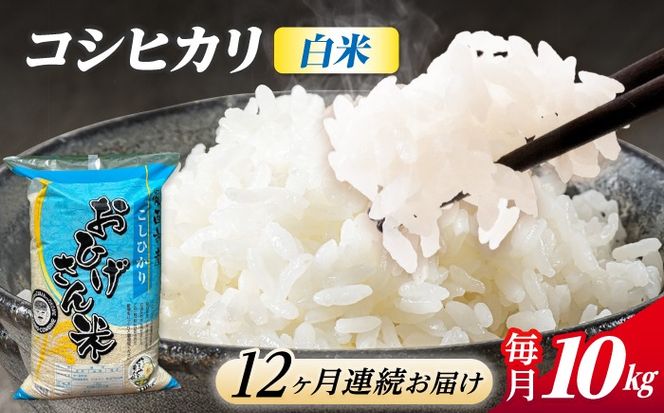 【12回定期便】コシヒカリ 白米 10kg×12か月 / 脇野コンバイン[AECP029]