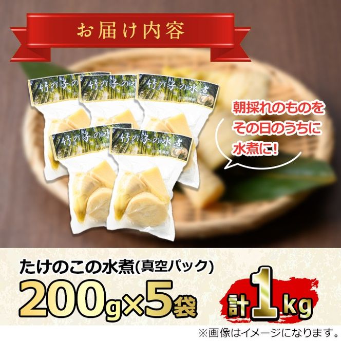 【0125925a】＜期間限定・数量限定＞採れたて新鮮！物産館おススメ！たけのこの水煮(計1kg・200g×5袋) 筍 タケノコ 大名筍 孟宗竹 唐竹 布袋竹 冷蔵 国産 小分け 野菜 煮物 竹の子ご飯 タケノコ 炒め物 簡単調理 【東串良物産館ルピノンの里】