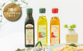 オリーブ オイル 3品 セット ( ガーリック ピュア ) 赤屋根 油 オリーブ油 食用油 調味料 詰め合わせ ギフト 贈り物 [№5735-1002]