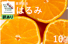 【先行予約】【訳あり】はるみ 約10kg | 柑橘 みかん 果物 フルーツ 愛媛県産 農家直送 　※離島への配送不可　※2025年2月上旬より順次発送予定