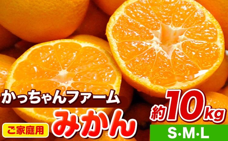ご家庭用『かっちゃんファーム』のご家庭用みかん★ 約10kg[S・M・Lサイズ(大小サイズ混合)] 自然本来のおいしさ![11月上旬-12月末頃出荷]---sg_wkacmkn_af11_25_12000_10kg---