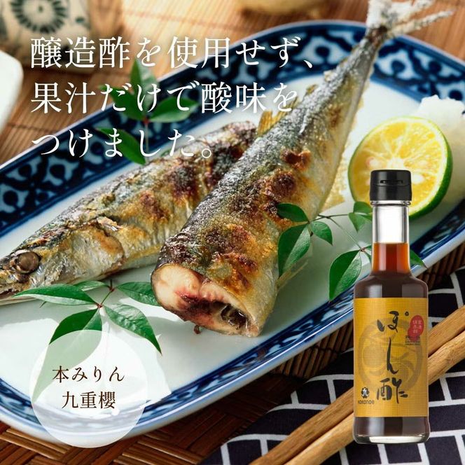 本みりんと調味料の詰め合わせセット H002-100