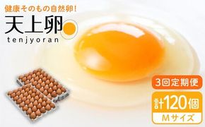 【 全3回 定期便 】 こだわり の 卵 「 天上卵 」 40個 セット 《糸島》【株式会社おおはまファーム】[AKH006]