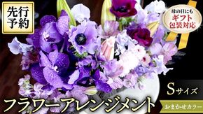 【 母の日 】 フラワー アレンジメントS 花色おまかせ ギフト プレゼント 花 お祝い 贈答 記念日 [CT081ci01]