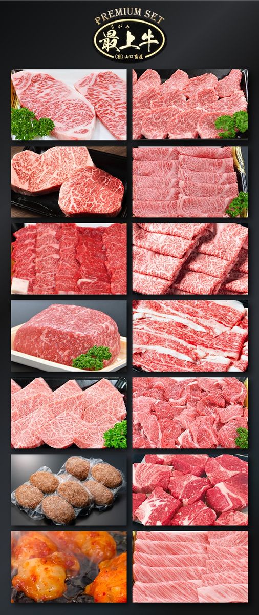 【冷凍】【12回発送で全21種】特選最上牛1年定期便