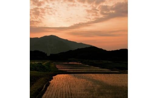 【令和7年産米】【5ヶ月定期便】新潟県村上市岩船産 棚田米コシヒカリ 4kg（2kg×2袋）+パックごはん(150g×1個) ×5ヶ月 1067144