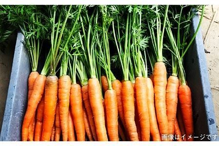 【 全9回 定期便 】 朝採り オーガニック 旬 野菜 お任せ 5品 ＋ 糸島産 大ヒット 特産 加工品 2品 のセット《糸島》【オーガニックナガミツファーム】 [AGE031]